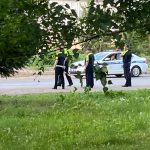Количество рыб в озере Красном