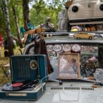 Фестиваль «Ретро Сибирь» в «Томской Писанице» 📸