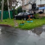 Парковочный специалист, Красная Горка